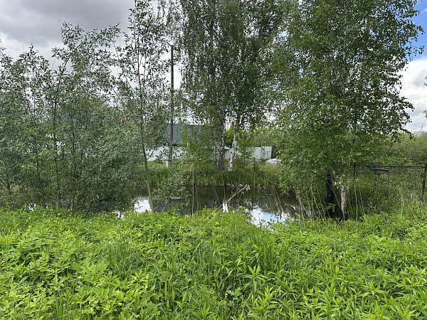 Участок 11 сот.