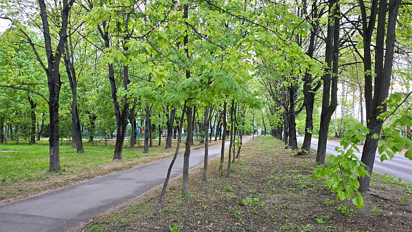 Квартира 28 м²